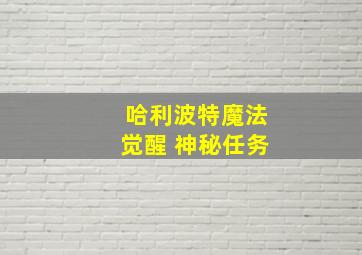 哈利波特魔法觉醒 神秘任务